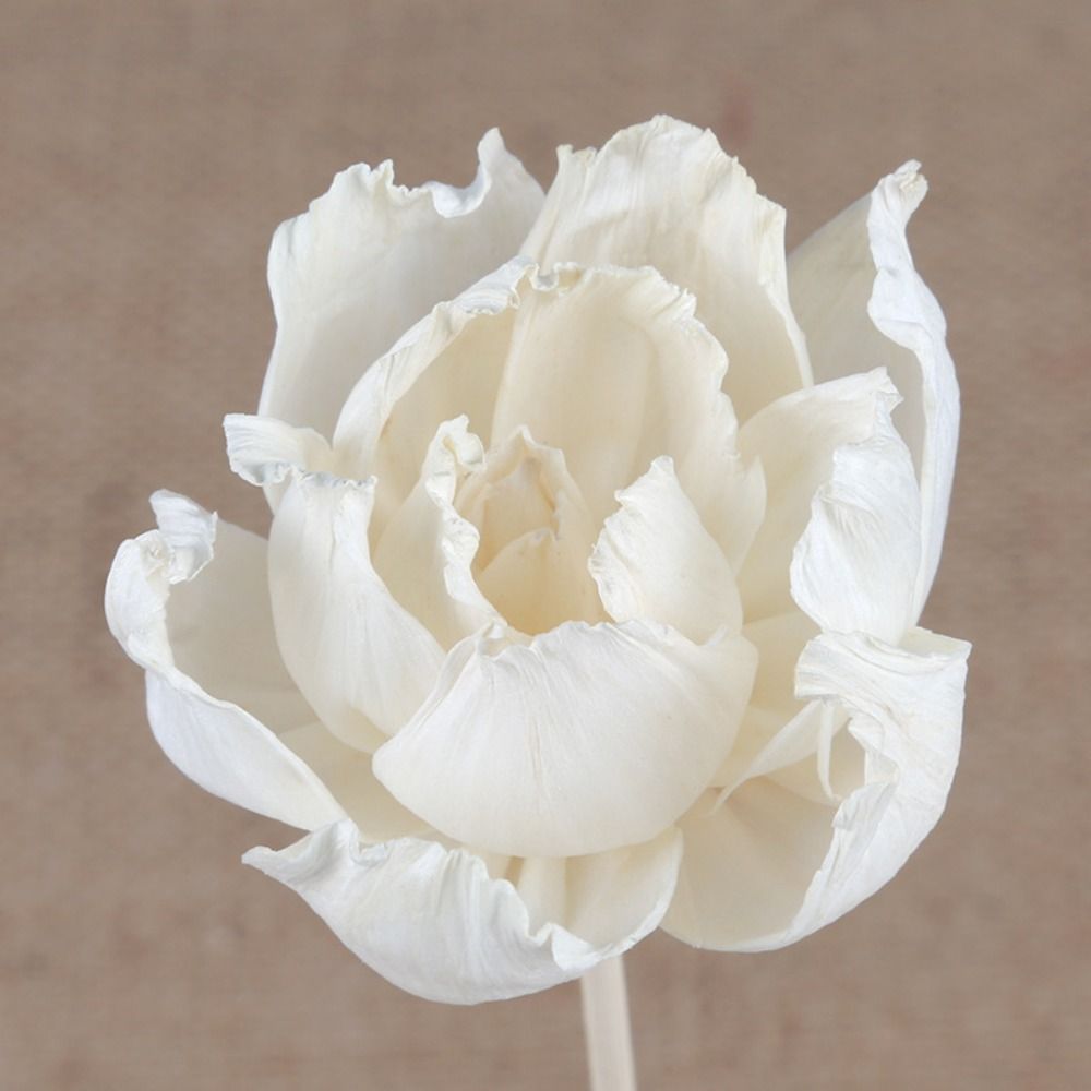 Multipurpose 5cm Natural Handm - đánh giá và giá Home Fragrance Incense