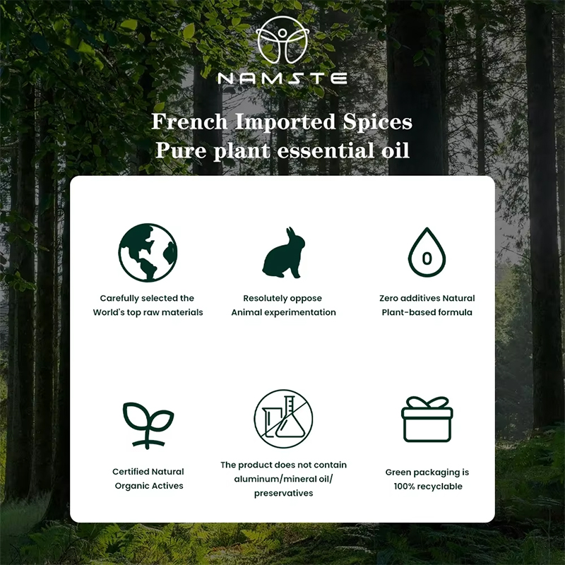 NAMSTE 100ML Oil Diffuser Esse - đánh giá và giá Home Fragrance M&S Disinfectant Hack